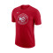 Camiseta Nike Atlanta Hawks Essesntial Club Niño