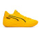 Puma Pl All-Pro Nitro Porsche Basketball shoes