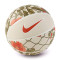 Ballon Nike Basketball 8P Premium Energy
