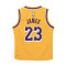 Maillot Nike Los Angeles Lakers Icon Edition LeBron James Preescolar
