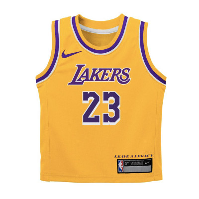 Maillot Los Angeles Lakers Icon Edition LeBron James Preescolar