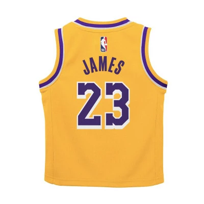 Los Angeles Lakers Icon Edition LeBron James Preescolar Jersey