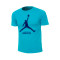 Camiseta Jordan Charlotte Hornets Essential Jumpman Niño