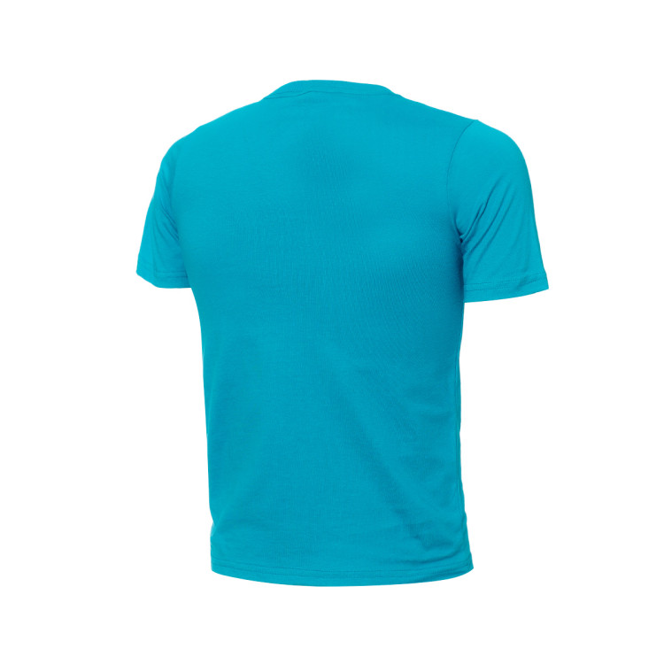 camiseta-jordan-essential-club-charlotte-hornets-nino-rapid-teal-1