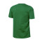 Camiseta Jordan Essential Club Boston Celtics Niño