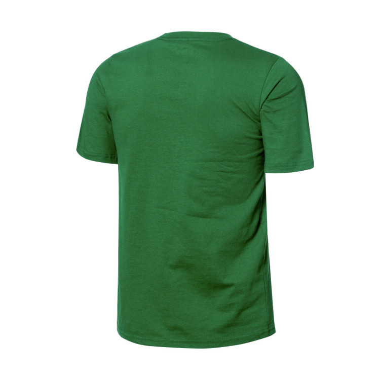 camiseta-jordan-essential-club-boston-celtics-nino-clover-1