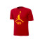 Camiseta Jordan Miami Heat Essential Jumpman Niño