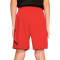 Pantaloncini Jordan Jumpman Wrap Mesh per bambini