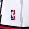 Mitchell & Ness Swingman Shorts Toronto Raptors Shorts