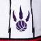 Mitchell & Ness Swingman Shorts Toronto Raptors Shorts
