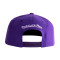 Gorra MITCHELL&NESS Los Angeles Lakers Ground 2.0