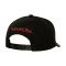Casquette MITCHELL&NESS Chicago Bulls The Best Pro