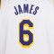 Nike Kids Los Angeles Lakers Association Edition T-Shirt