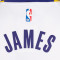Nike Kids Los Angeles Lakers Association Edition T-Shirt