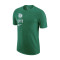 Camiseta Nike Boston Celtics Essential Block Niño