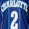 Maillot MITCHELL&NESS Swingman Charlotte Hornets - Larry Johnson 1994-95