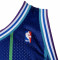 Mitchell & Ness Swingman Jersey Charlotte Hornets - Larry Johnson 1994-95 T-Shirt