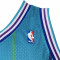Camisola MITCHELL&NESS Swingman Jersey Charlotte Hornets - Larry Johnson 1992-93