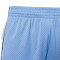 MITCHELL&NESS Swingman North Carolina 2008 Shorts