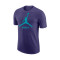 Camiseta Jordan Charlotte Hornets Essential