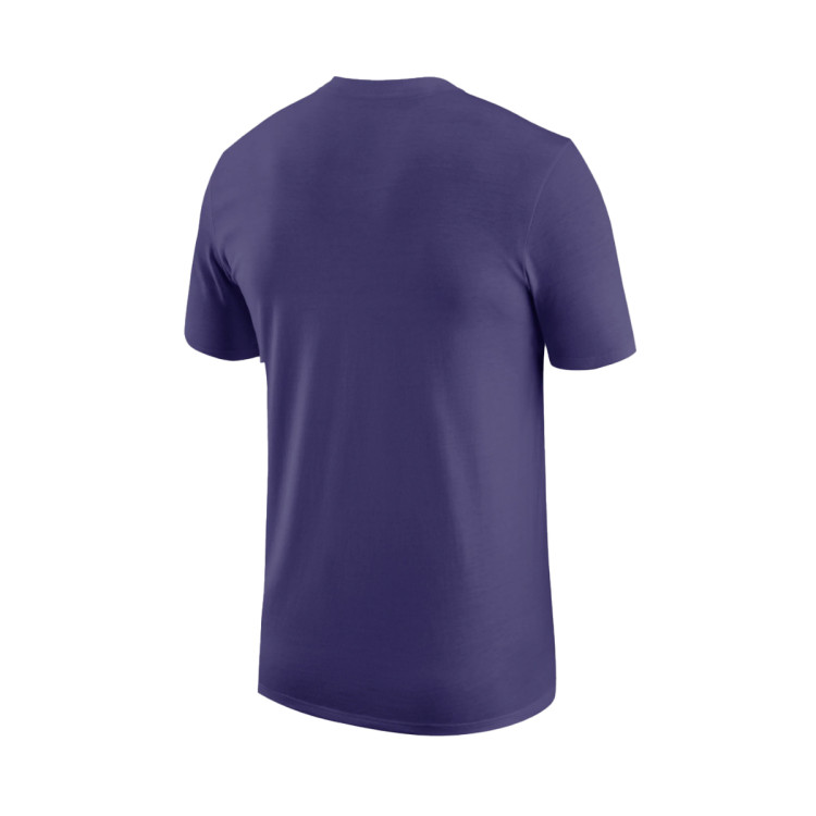 camiseta-jordan-charlotte-hornets-essential-purple-teal-1