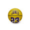 Balón Wilson NBA Mini Basket Lebron James