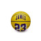 Wilson NBA Mini Basket Lebron James Ball