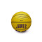 Ballon Wilson NBA Mini Basket Lebron James