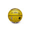 Wilson NBA Mini Basket Lebron James Ball