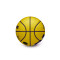 Wilson NBA Mini Basket Lebron James Ball
