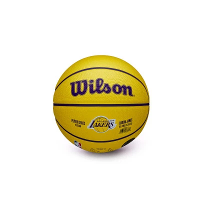 NBA Mini Basket Lebron James Ball