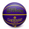 Bola Wilson NBA Outdoor Basket Lebron James
