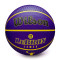 Pallone Wilson NBA Outdoor Basket Lebron James