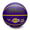 Bola Wilson NBA Outdoor Basket Lebron James