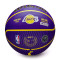 Wilson NBA Outdoor Basket Lebron James Ball