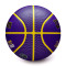 Wilson NBA Outdoor Basket Lebron James Ball