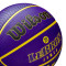Ballon Wilson NBA Outdoor Basket Lebron James