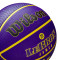 Balón Wilson NBA Outdoor Basket Lebron James