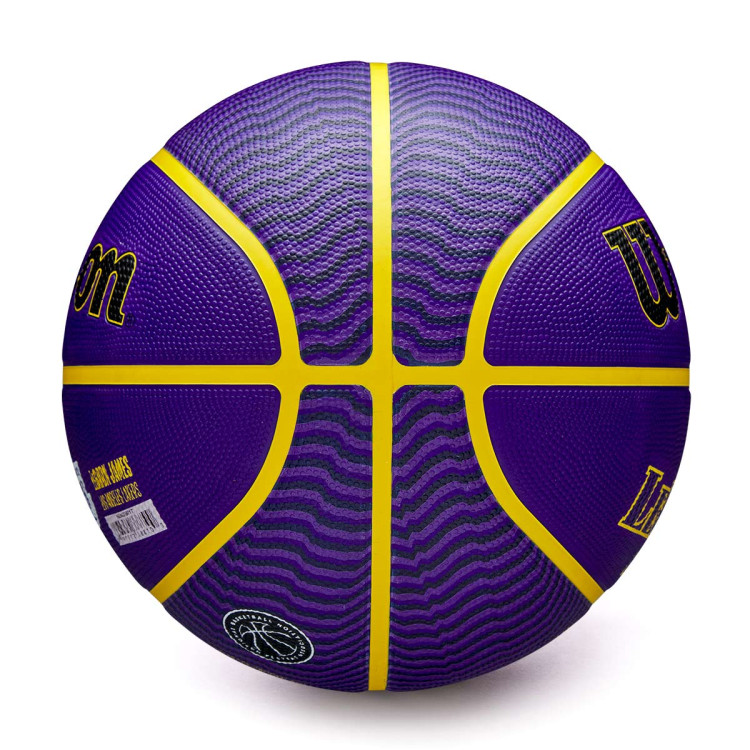 balon-wilson-nba-outdoor-basket-lebron-james-yellow-purple-4