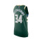 Nike Milwaukee Bucks Icon Edition Authentic Giannis Antetokounmpo T-Shirt