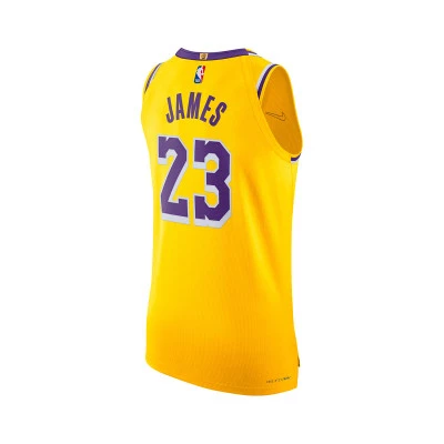 Maillot Los Angeles Lakers Icon Edition Authentic Lebron James