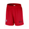 Nike Chicago Bulls Openhole Mesh Shorts