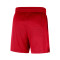 Nike Chicago Bulls Openhole Mesh Shorts