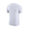 Nike Brooklyn Nets Essential Logo T-Shirt