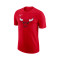 Nike Chicago Bulls Essential Logo T-Shirt