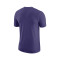 Jordan Charlotte Hornets Essential Logo T-Shirt