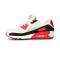 Sapatilha Nike Air Max 90 Mulher