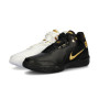 Zoom Lebron NXXT Gen Ampd-White-Gold-Black