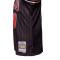 Mitchell & Ness Swingman Jersey Chicago Bulls - Scottie Pippen 1995 T-Shirt