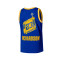 Camiseta Mitchell & Ness Golden State Warriors Swingman Jersey - Jason Richardson 2004-05